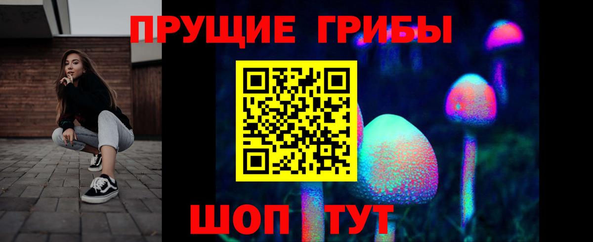 Галлюциногенные грибы Magic Shrooms  закладка  Печора  Вход с VPN 